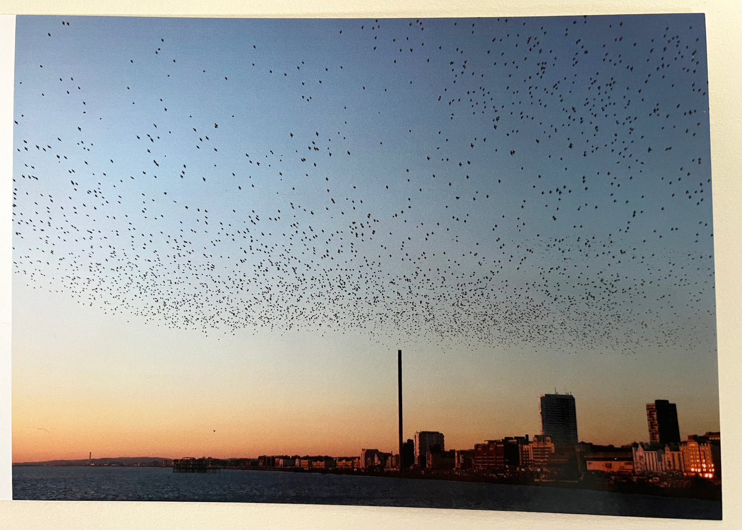 The Starling Show, Brighton Pier Greeting Card