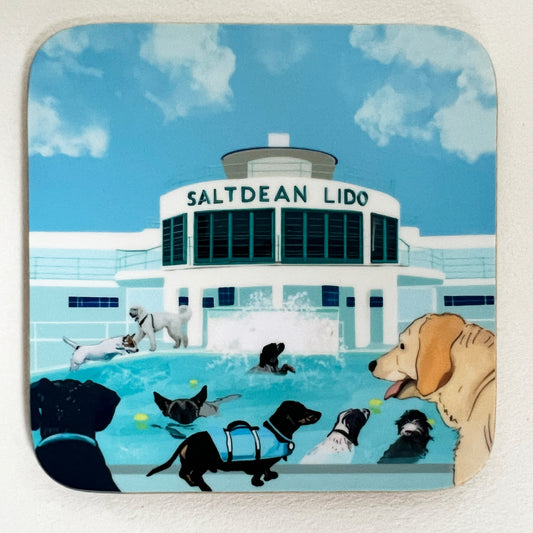 Doggie lido swim Coaster the saltdean lido dog lovers