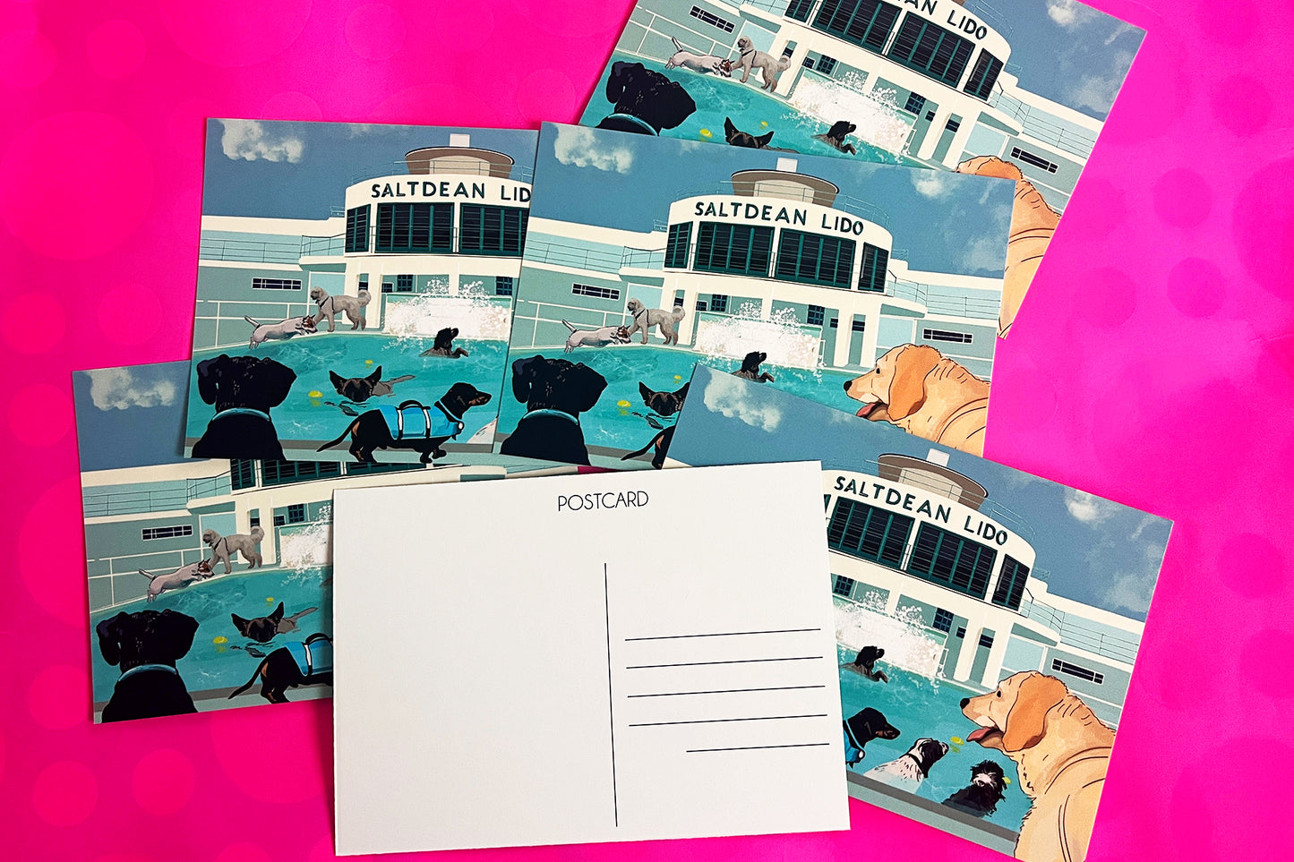 postcards saltdean lido swimming fun dog swims 