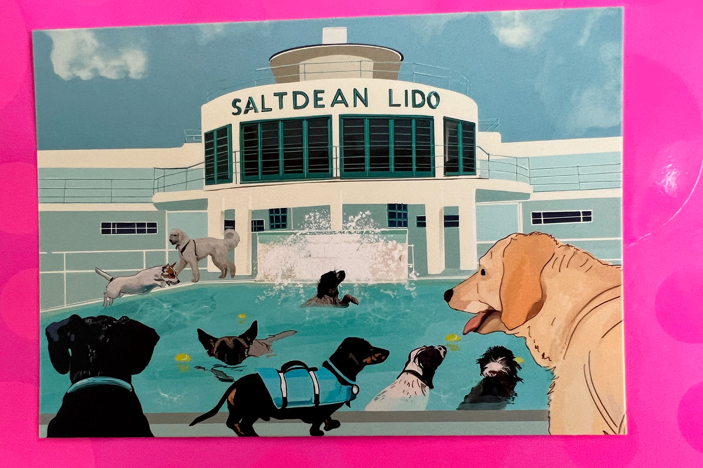 The Great Saltdean Bark Off, Saltdean Lido Postcard