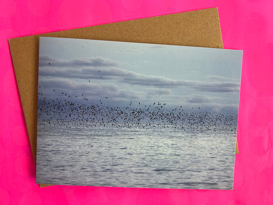 The Starling Show, Brighton Greeting Card