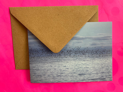 The Starling Show, Brighton Greeting Card