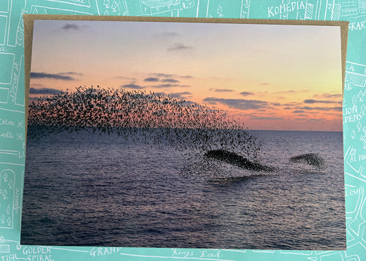 Starlings & 'Dolphin' shapes! Greeting Card