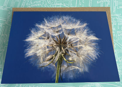 'Giant Dandelion' Greeting Card