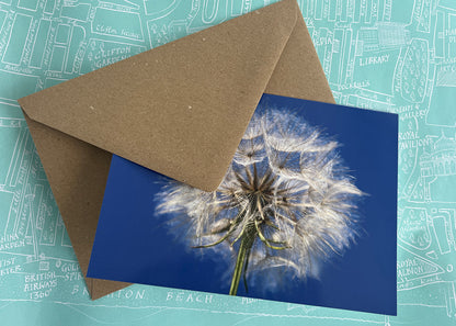 'Giant Dandelion' Greeting Card