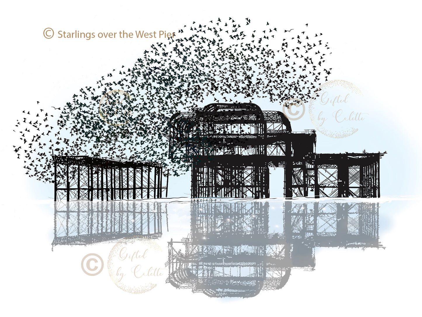 'Starlings over the West Pier' Coaster