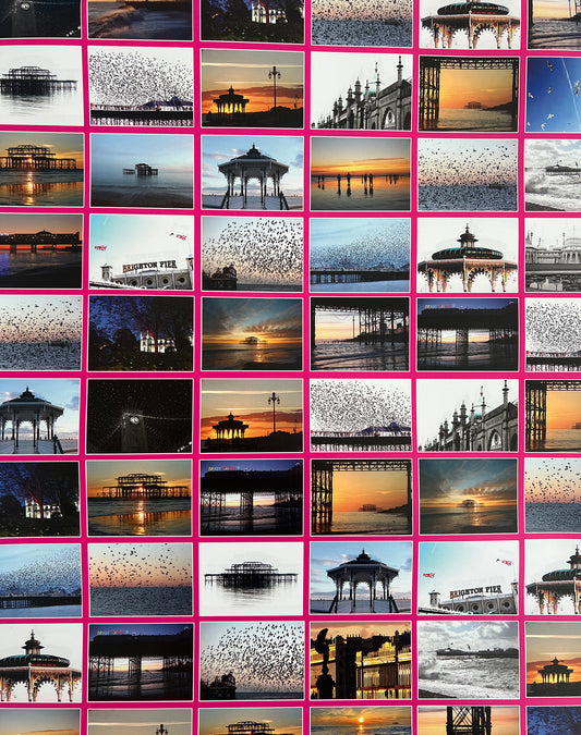 Shocking Pink Brighton Photographic Gift Wrap